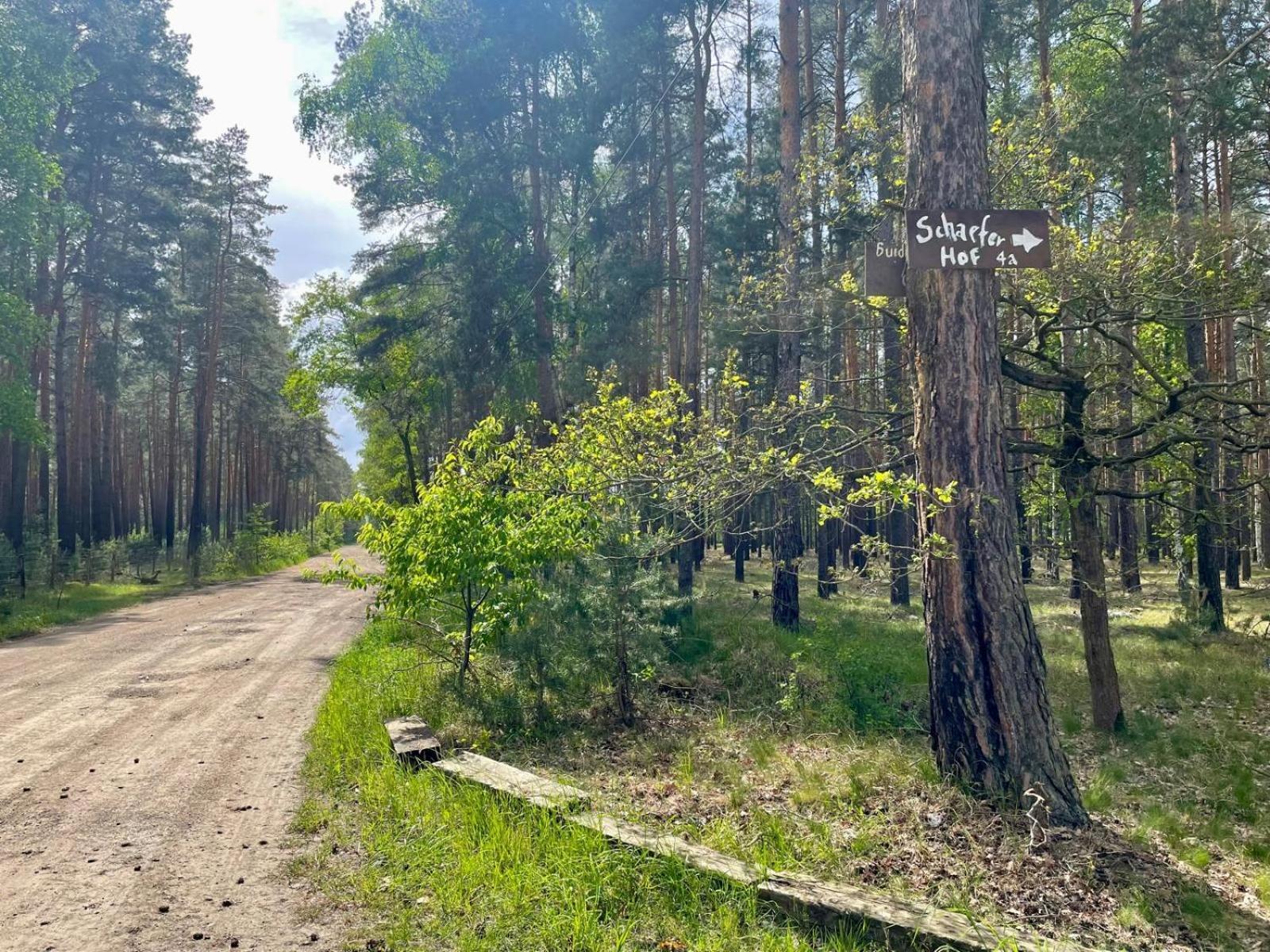 Ferienwohnung Schaeferhof, Die Natur Vor Der Haustuere Cottbus Esterno foto